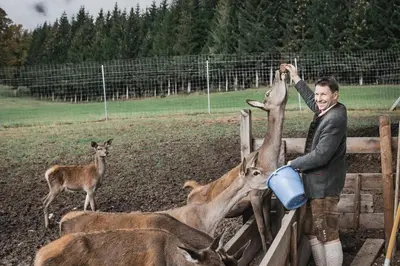 Tiere in der Pension oder in der Nähe