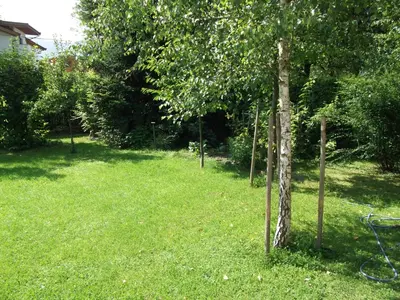 Ein Garten an der Unterkunft Sagzahnblick 2