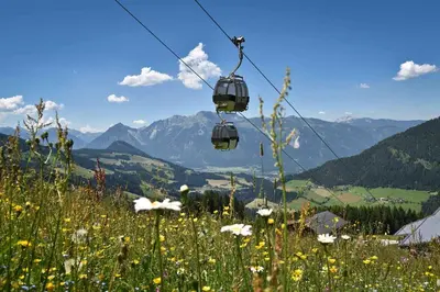 Naturlandschaft in der Nähe des Bed & Breakfasts