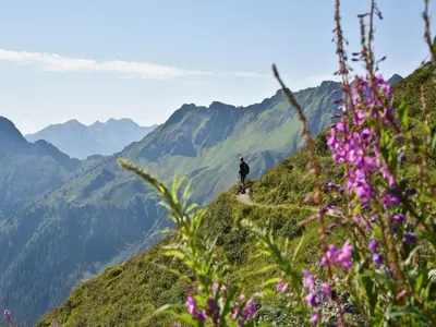 Naturlandschaft in der Nähe des Ferienhauses