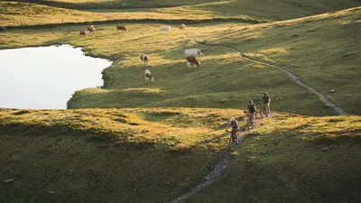 Naturlandschaft in der Nähe der Ferienwohnung