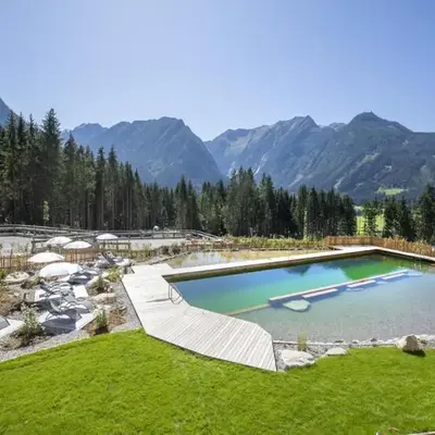 Wellness Chalet near Wildkogel