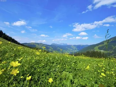 Naturlandschaft in der Nähe der Ferienwohnung