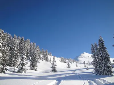 Ferienwohnung Eberharter im Winter