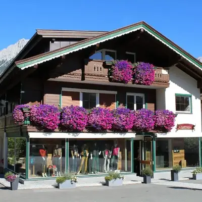 Alpking Hostel