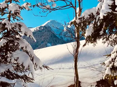Apartment in Saalbach near Ski Slopes im Winter