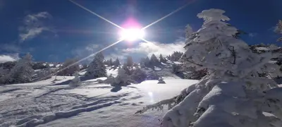 Apartment Alpine by Apartment Managers im Winter