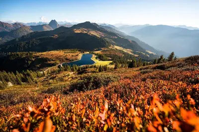 Naturlandschaft in der Nähe des Bauernhofs