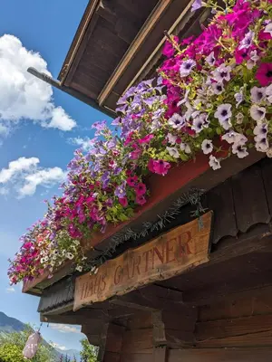 Ein Garten an der Unterkunft Haus Gartner 4-5 pers appartement