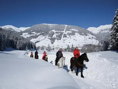 Apartment in Fügen near Ski Slopes im Winter