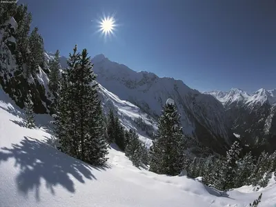 Naturlandschaft in der Nähe des Chalets