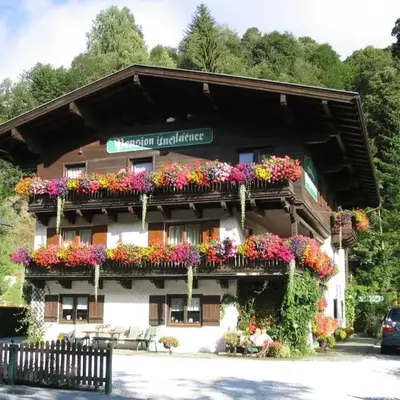 Studio in Saalbach near Ski Slopes