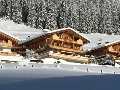 Haus Fernwald Top Jill im Winter